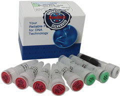 HelixAmp ��(d��ng)ֲ����ѪҺ�ӱ�ֱ�� RT-PCRԇ����