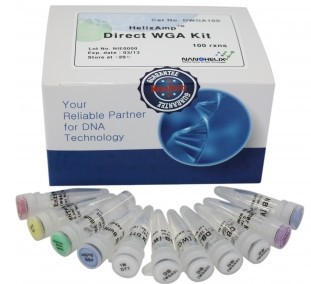 HelixAmp ��(d��ng)ֲ����ѪҺ�ӱ�ֱ�ӻ���M�U(ku��)��(WGA)ԇ����