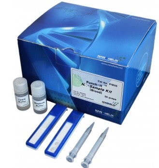 Punch-it �����ᣨDNA/RNA����(ji��n)�������ȡԇ����