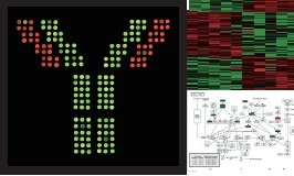 ScioCD��(x��)�������(bi��o)ӛ�CD���ӣ����_(d��)�V���wоƬ