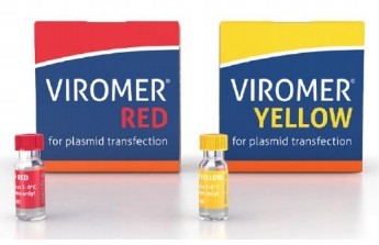 Viromer&reg; RED���t����YELLOW���S���|(zh��)��DNA��mRNA�D(zhu��n)Ⱦԇ��