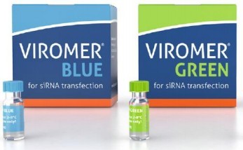 Viromer&reg; BLUE���{(l��n)����GREEN���G��siRNA��miRNA�D(zhu��n)Ⱦԇ��